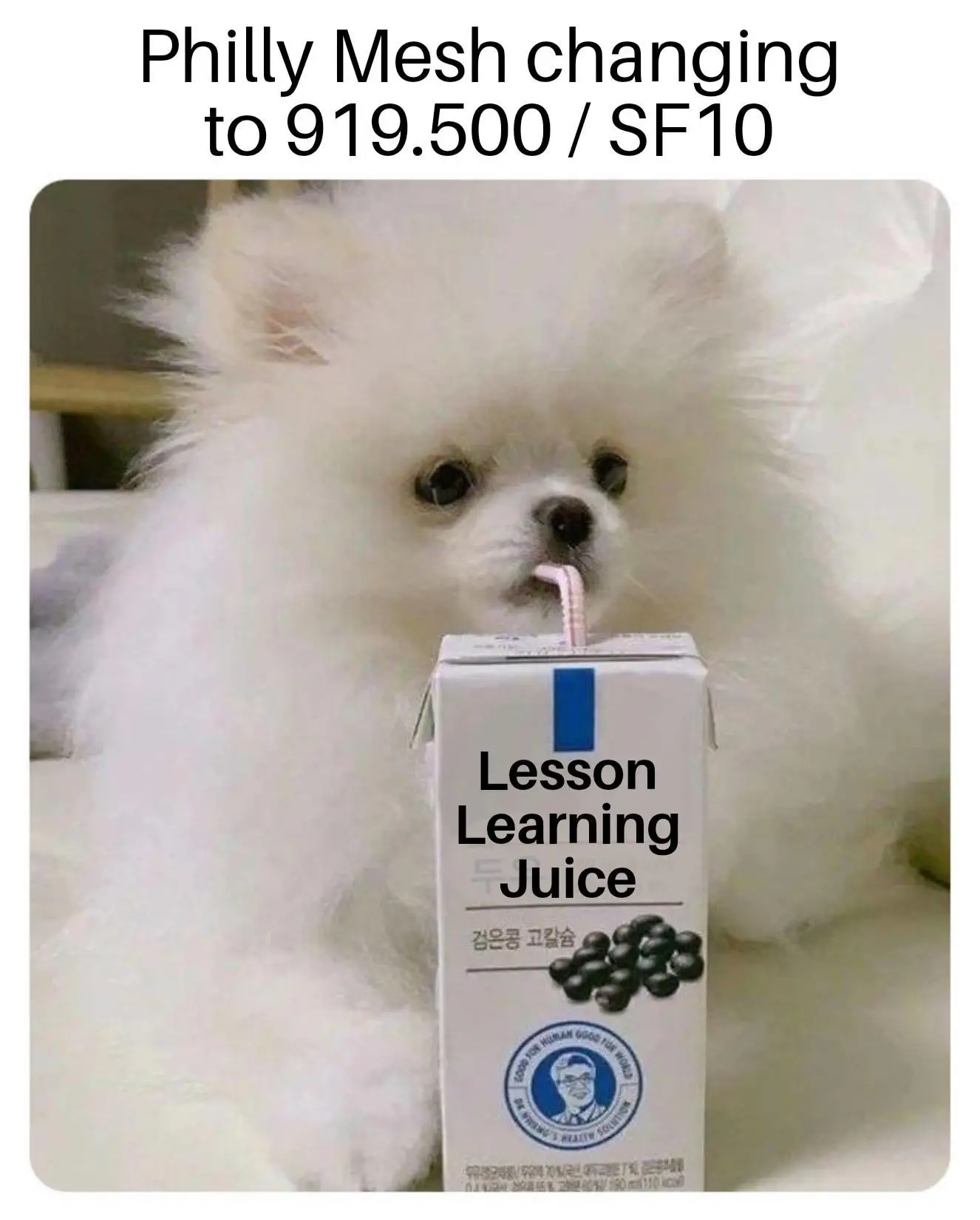 Philly Mesh Drinking Lesson Learning Juice